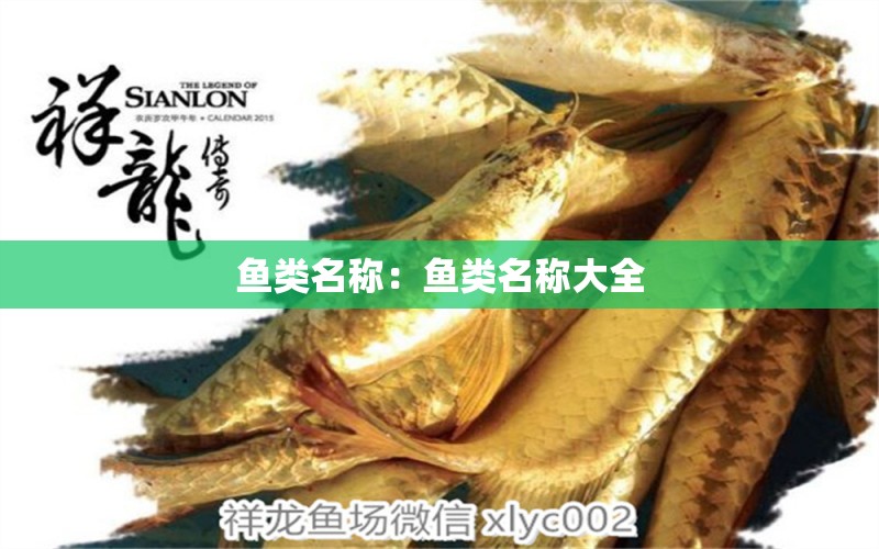 魚類名稱：魚類名稱大全