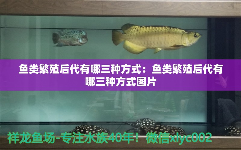 魚(yú)類(lèi)繁殖后代有哪三種方式：魚(yú)類(lèi)繁殖后代有哪三種方式圖片 綠皮皇冠豹魚(yú)