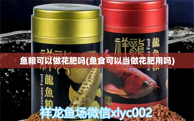 魚糧可以做花肥嗎(魚食可以當(dāng)做花肥用嗎) 薩伊藍(lán)魚