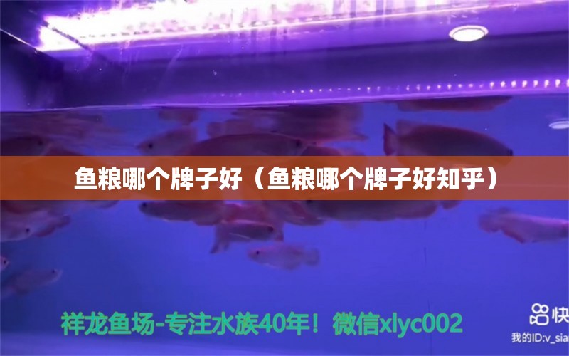 魚糧哪個牌子好（魚糧哪個牌子好知乎）