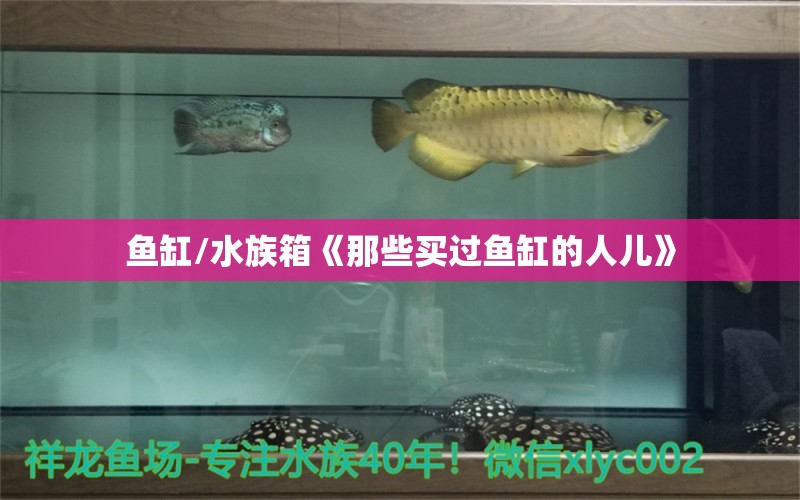 魚缸/水族箱《那些買過魚缸的人兒》