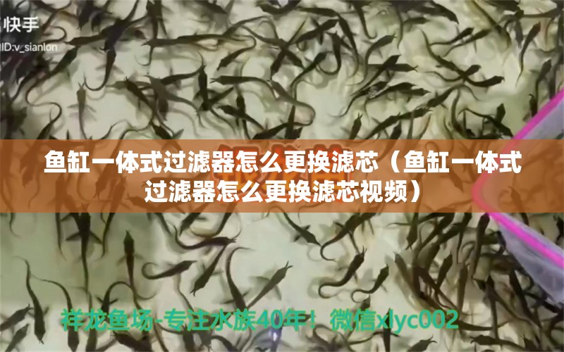 魚缸一體式過濾器怎么更換濾芯（魚缸一體式過濾器怎么更換濾芯視頻） 祥龍水族醫(yī)院