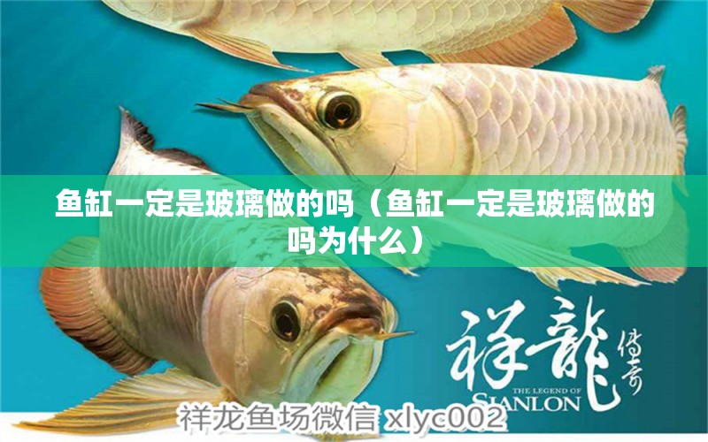 魚(yú)缸一定是玻璃做的嗎（魚(yú)缸一定是玻璃做的嗎為什么）