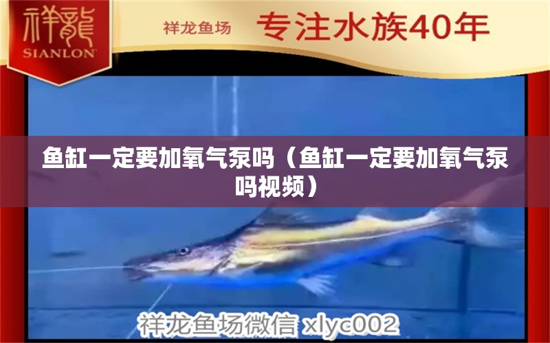 魚缸一定要加氧氣泵嗎（魚缸一定要加氧氣泵嗎視頻） 祥龍水族醫(yī)院