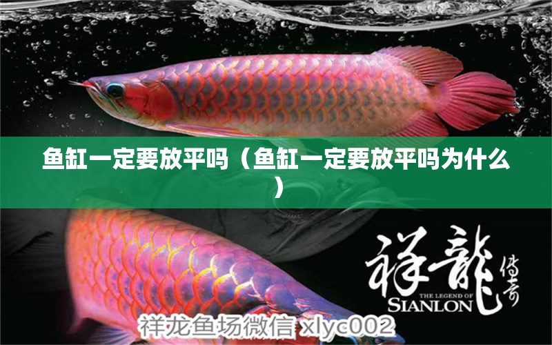 魚缸一定要放平嗎（魚缸一定要放平嗎為什么） 其他品牌魚缸