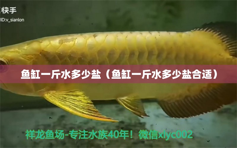 魚缸一斤水多少鹽（魚缸一斤水多少鹽合適）