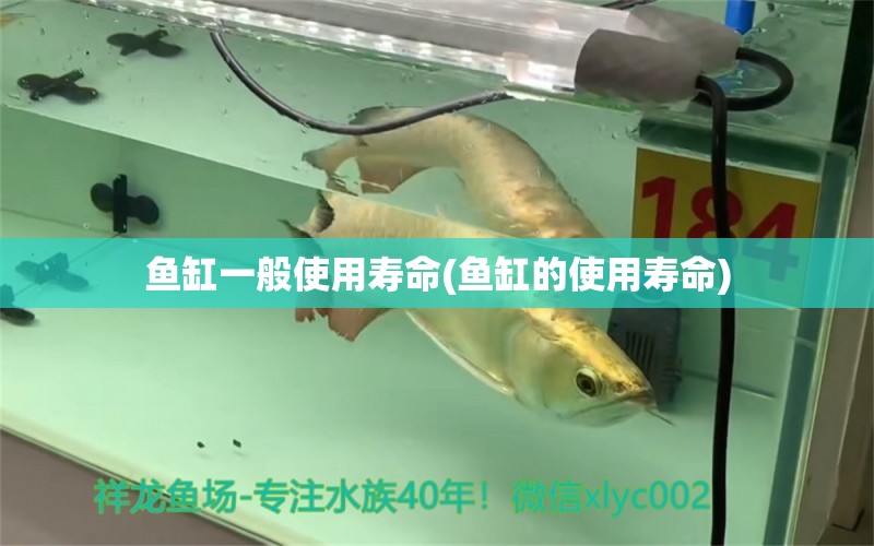 魚缸一般使用壽命(魚缸的使用壽命) 黑白雙星魚