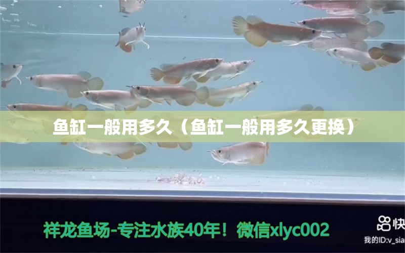 魚(yú)缸一般用多久（魚(yú)缸一般用多久更換） 祥龍水族醫(yī)院