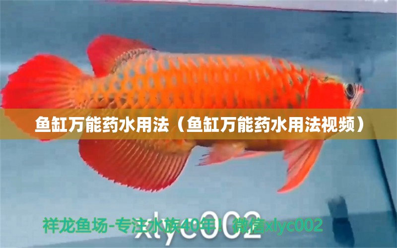 魚缸萬能藥水用法（魚缸萬能藥水用法視頻）