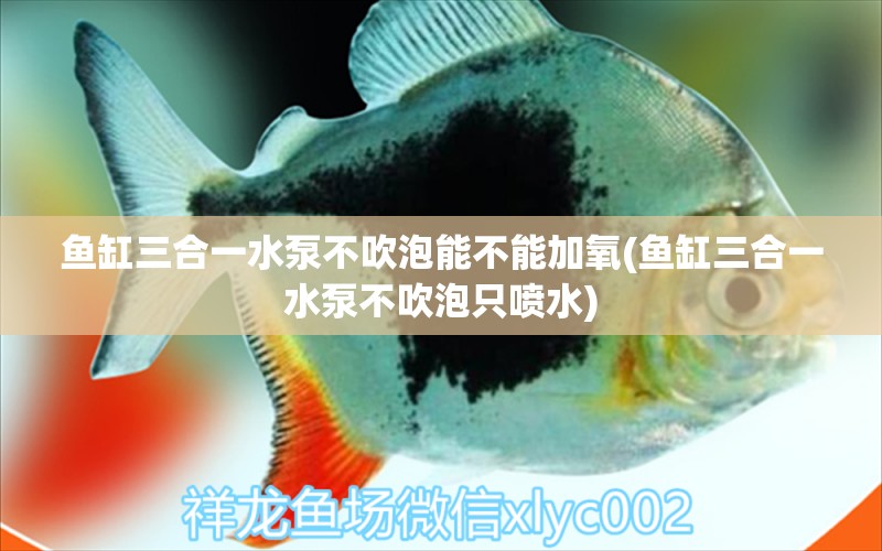 魚缸三合一水泵不吹泡能不能加氧(魚缸三合一水泵不吹泡只噴水) 帝王血鉆 第1張