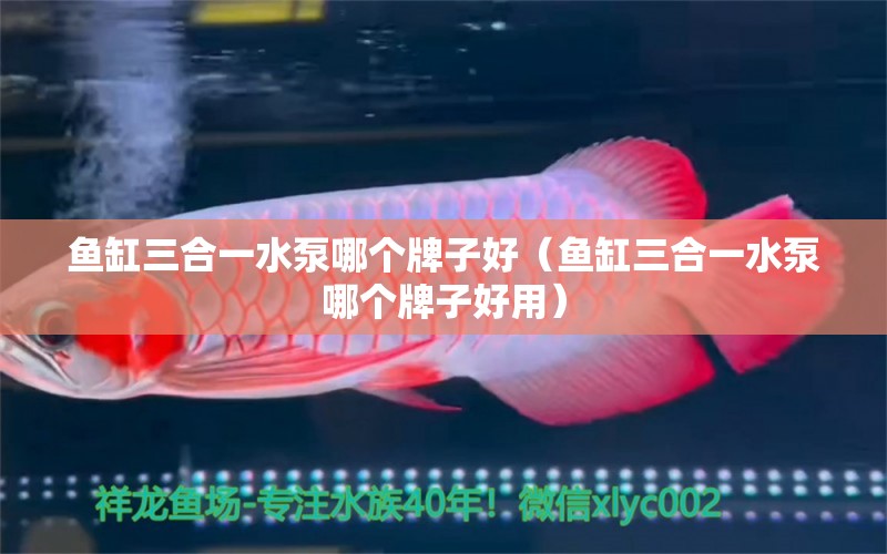 魚(yú)缸三合一水泵哪個(gè)牌子好（魚(yú)缸三合一水泵哪個(gè)牌子好用）