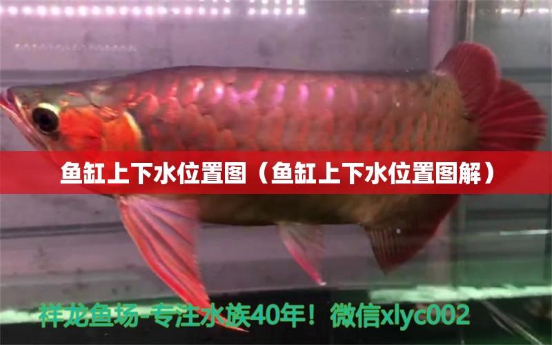 魚(yú)缸上下水位置圖（魚(yú)缸上下水位置圖解） 量子養(yǎng)魚(yú)技術(shù)