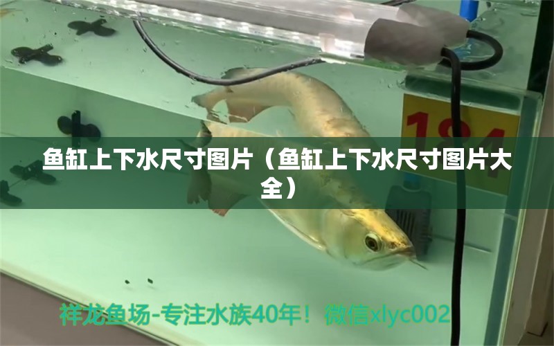 魚缸上下水尺寸圖片（魚缸上下水尺寸圖片大全）