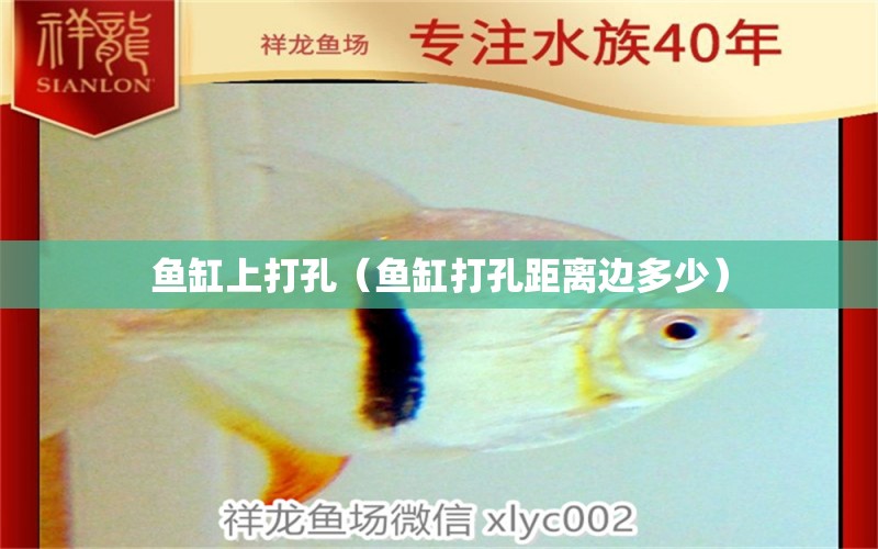 魚(yú)缸上打孔（魚(yú)缸打孔距離邊多少）