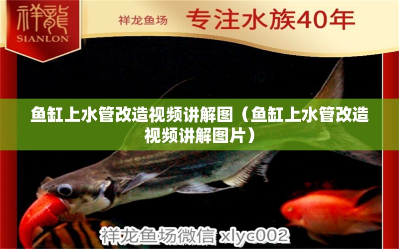 魚缸上水管改造視頻講解圖（魚缸上水管改造視頻講解圖片） 祥龍水族醫(yī)院