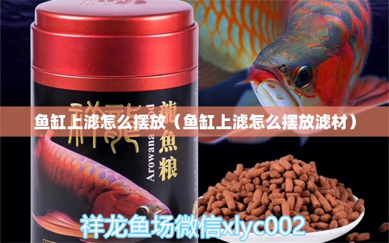 魚缸上濾怎么擺放（魚缸上濾怎么擺放濾材） 泰國雪鯽魚