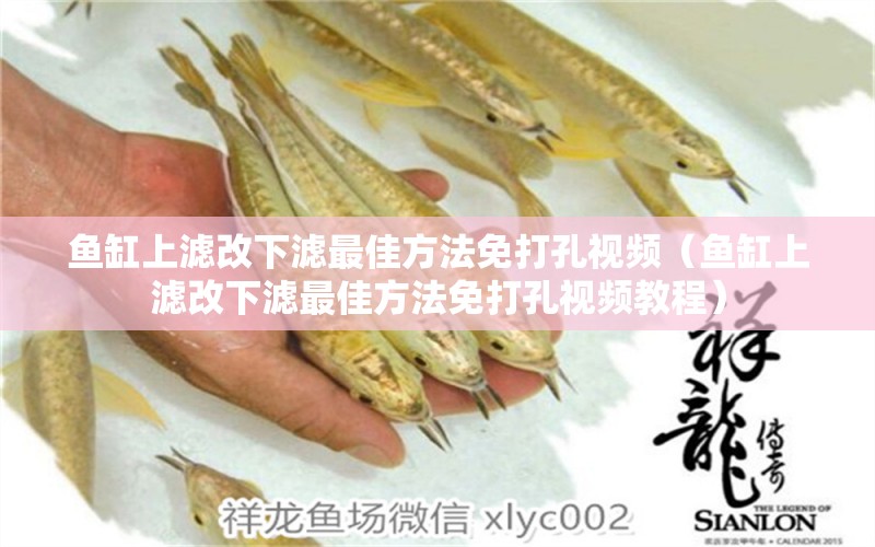 魚缸上濾改下濾最佳方法免打孔視頻（魚缸上濾改下濾最佳方法免打孔視頻教程）