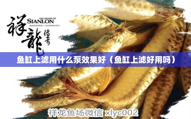 魚缸上濾用什么泵效果好（魚缸上濾好用嗎） 魟魚相關(guān)