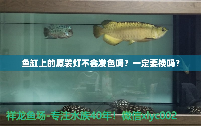 魚缸上的原裝燈不會(huì)發(fā)色嗎？一定要換嗎？ 水族雜談