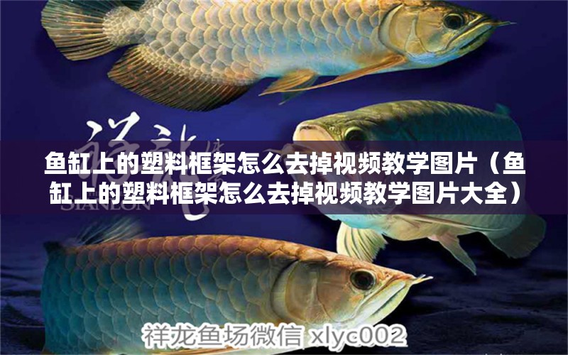 魚缸上的塑料框架怎么去掉視頻教學(xué)圖片（魚缸上的塑料框架怎么去掉視頻教學(xué)圖片大全）