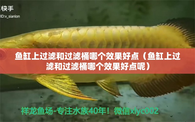 魚缸上過濾和過濾桶哪個效果好點（魚缸上過濾和過濾桶哪個效果好點呢）