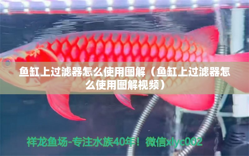 魚缸上過濾器怎么使用圖解（魚缸上過濾器怎么使用圖解視頻）