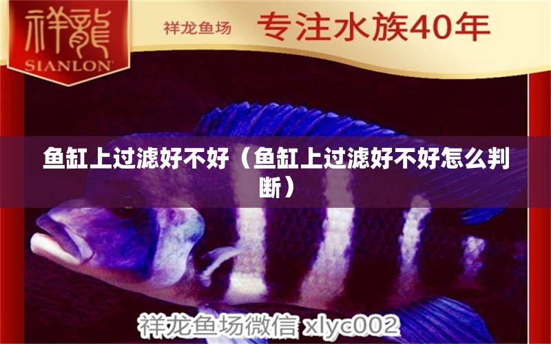 魚缸上過濾好不好（魚缸上過濾好不好怎么判斷）