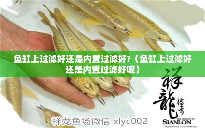 魚缸上過濾好還是內(nèi)置過濾好?（魚缸上過濾好還是內(nèi)置過濾好呢）