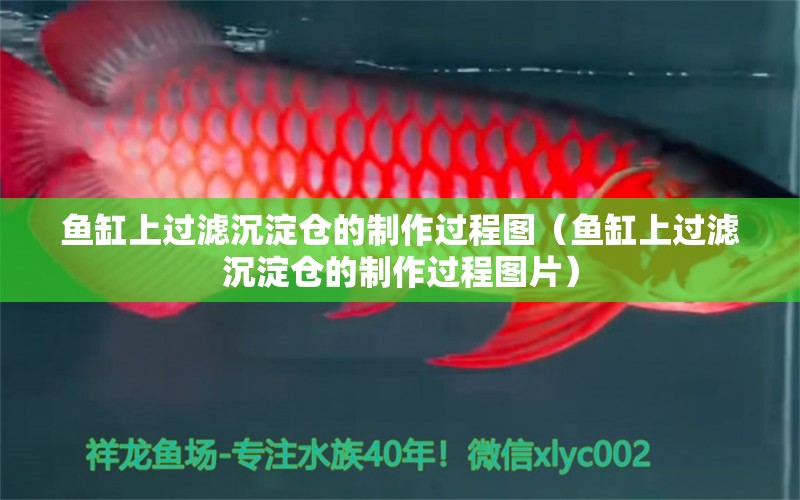 魚缸上過濾沉淀倉的制作過程圖（魚缸上過濾沉淀倉的制作過程圖片） 祥龍水族醫(yī)院