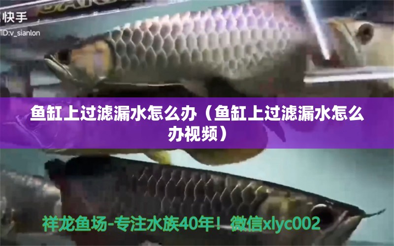 魚缸上過濾漏水怎么辦（魚缸上過濾漏水怎么辦視頻）