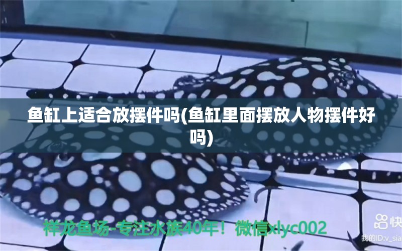 魚缸上適合放擺件嗎(魚缸里面擺放人物擺件好嗎)