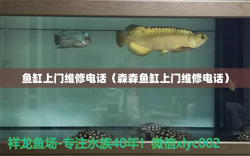 魚缸上門維修電話（森森魚缸上門維修電話）