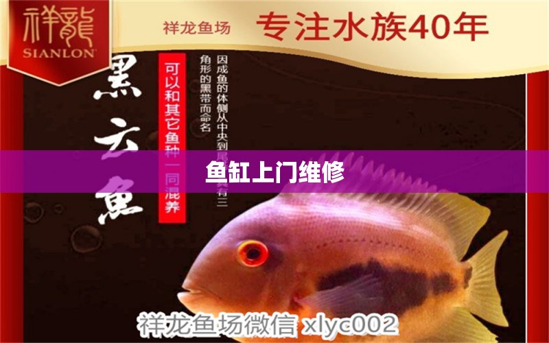 魚(yú)缸上門(mén)維修 其他品牌魚(yú)缸