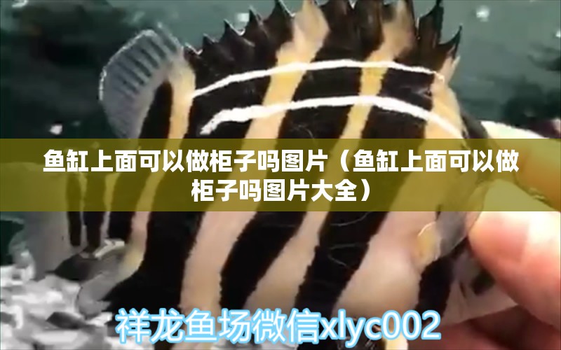 魚缸上面可以做柜子嗎圖片（魚缸上面可以做柜子嗎圖片大全）