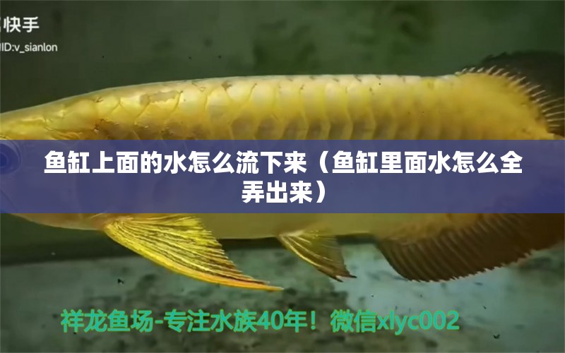 魚缸上面的水怎么流下來（魚缸里面水怎么全弄出來）