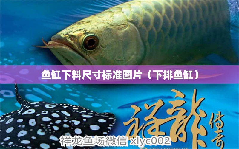 魚缸下料尺寸標準圖片（下排魚缸）