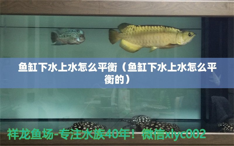 魚缸下水上水怎么平衡（魚缸下水上水怎么平衡的）