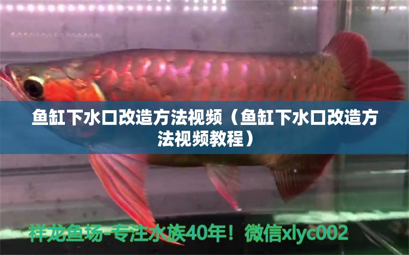 魚缸下水口改造方法視頻（魚缸下水口改造方法視頻教程） 祥龍水族醫(yī)院