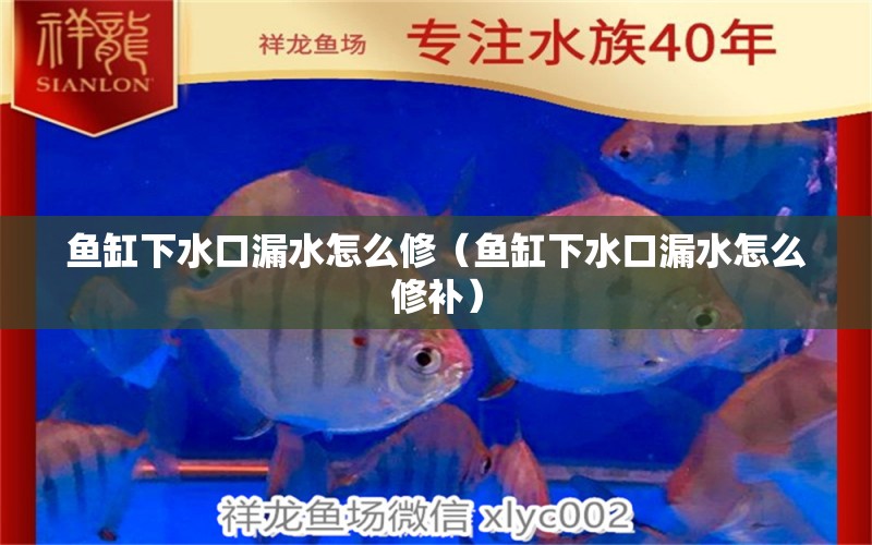 魚缸下水口漏水怎么修（魚缸下水口漏水怎么修補）