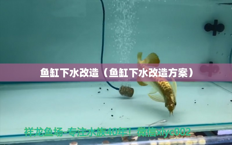 魚缸下水改造（魚缸下水改造方案）