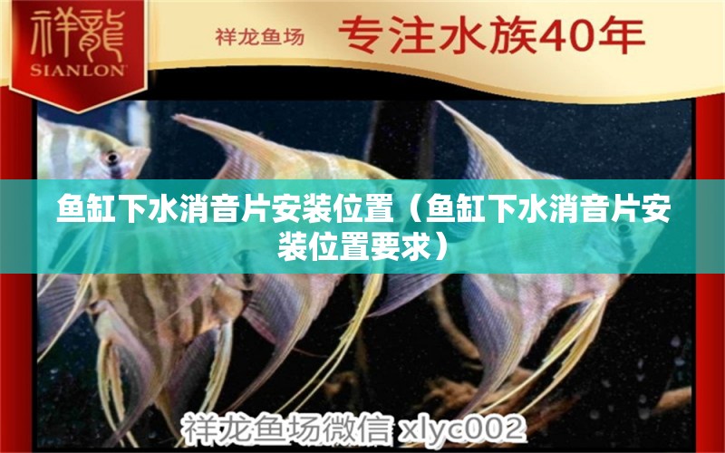 魚缸下水消音片安裝位置（魚缸下水消音片安裝位置要求）