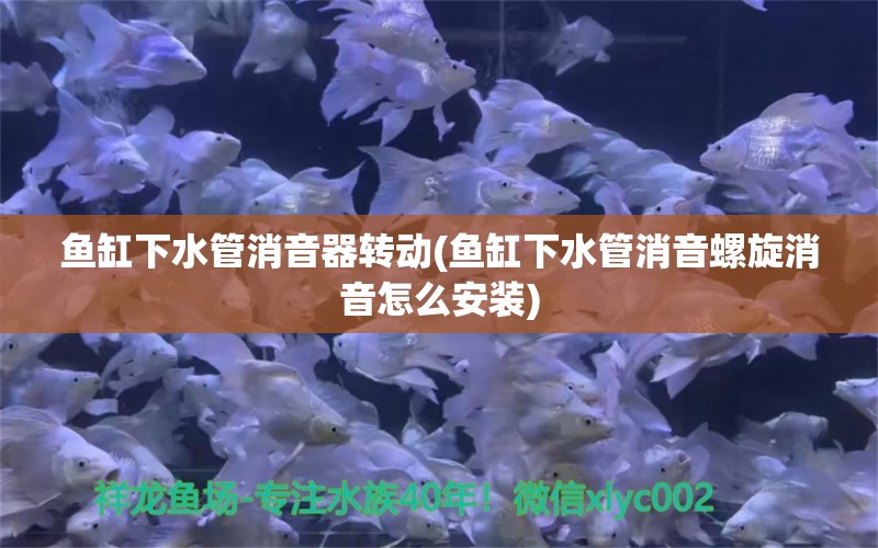 魚(yú)缸下水管消音器轉(zhuǎn)動(dòng)(魚(yú)缸下水管消音螺旋消音怎么安裝) 印尼虎苗