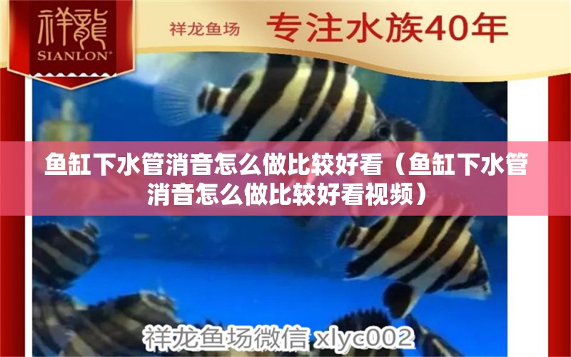 魚(yú)缸下水管消音怎么做比較好看（魚(yú)缸下水管消音怎么做比較好看視頻）