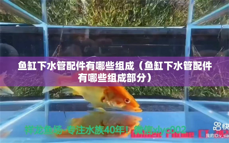 魚缸下水管配件有哪些組成（魚缸下水管配件有哪些組成部分）