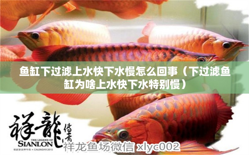 魚缸下過(guò)濾上水快下水慢怎么回事（下過(guò)濾魚缸為啥上水快下水特別慢）