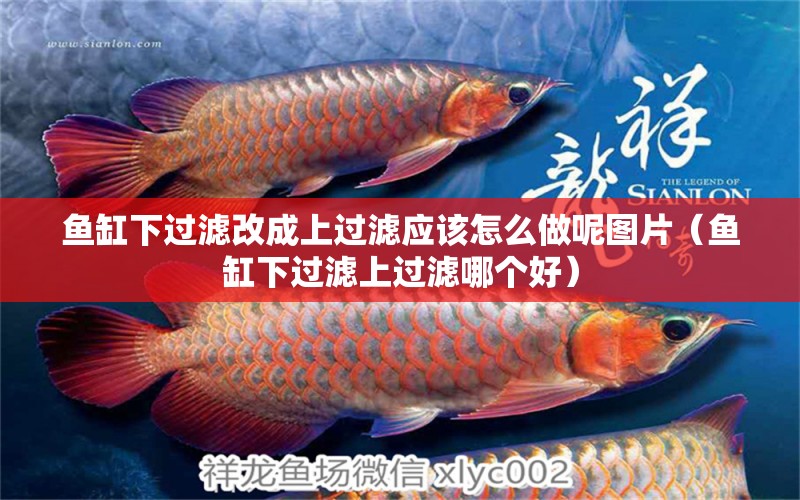 魚(yú)缸下過(guò)濾改成上過(guò)濾應(yīng)該怎么做呢圖片（魚(yú)缸下過(guò)濾上過(guò)濾哪個(gè)好）