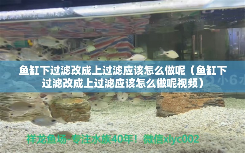 魚缸下過濾改成上過濾應(yīng)該怎么做呢（魚缸下過濾改成上過濾應(yīng)該怎么做呢視頻）