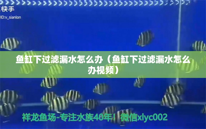 魚缸下過濾漏水怎么辦（魚缸下過濾漏水怎么辦視頻）