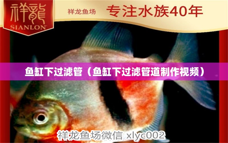 魚(yú)缸下過(guò)濾管（魚(yú)缸下過(guò)濾管道制作視頻）