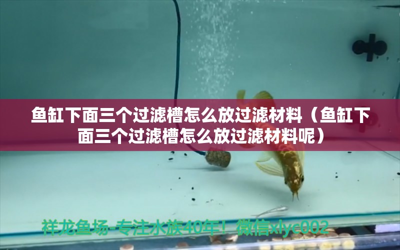 魚(yú)缸下面三個(gè)過(guò)濾槽怎么放過(guò)濾材料（魚(yú)缸下面三個(gè)過(guò)濾槽怎么放過(guò)濾材料呢）